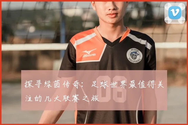 探寻绿茵传奇：足球世界最值得关注的几大联赛之旅